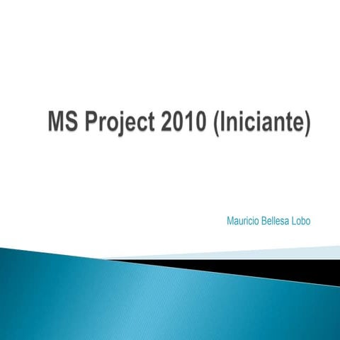 MS Project 2010 Iniciante