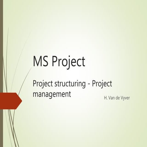 MS Project training