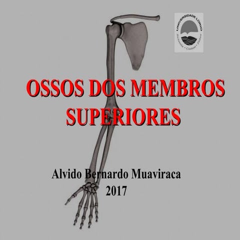 Ossos Dos Membros Superiores