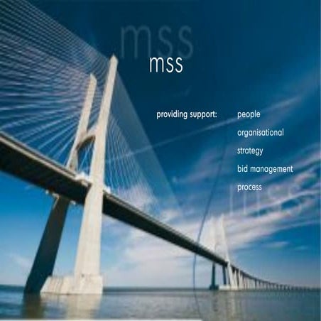 mss video and overview 