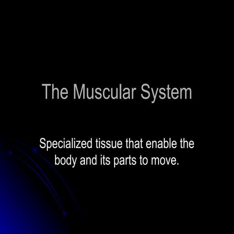 Msucularsystemfinallec 120125071900-phpapp02