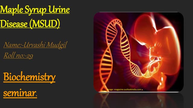 Maple syrup urine disease (msud) | PPTX