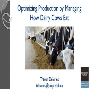 Optimizing Production by Managing How Dairy Cows Eat