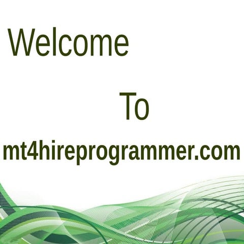 MT4HireProgrammer
