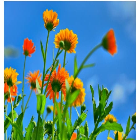 Why do mobile projects (still) fail - September 2014 edition