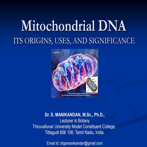 Mitochondrial DNA