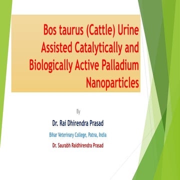 Dr Rai Dhirendra Prasad Palladium Nanoparticles