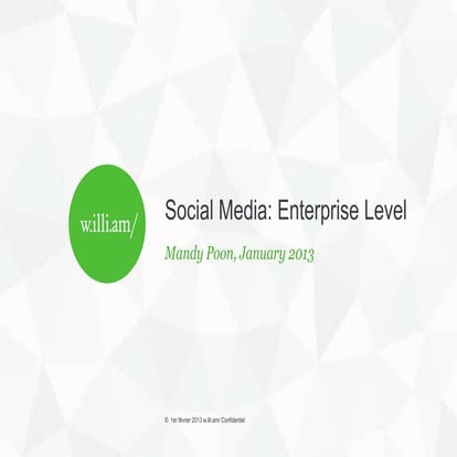 Enterprise-Level Social Media