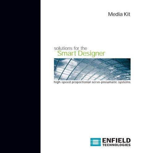 Mountain Stream Group: Portfolio Sample - Media Kit 