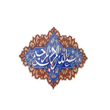 The Role of Antiviral Effect of mTORis in Kidney Transplant Patients 