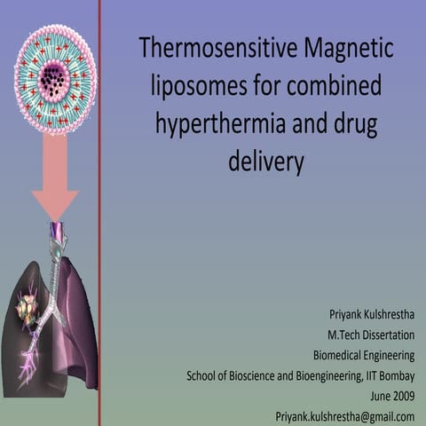 Magnetic nanoliposomes for combined hyperthermia and drug delivery