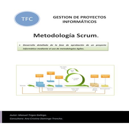 Mtrigas tfc0612memoria