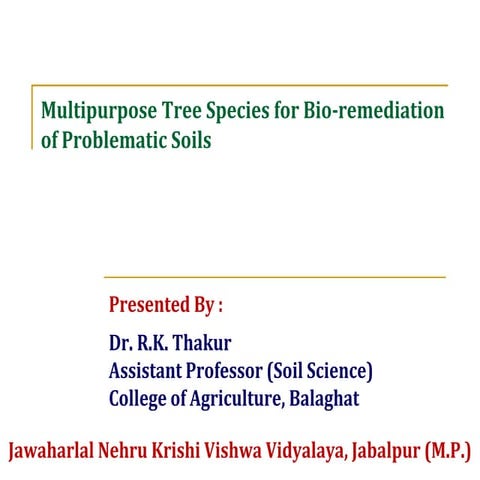 Multipurpose Trees for Bio-remediation