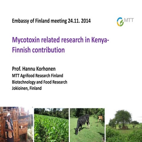 Mycotoxin related research in Kenya- Finnish contribution 
