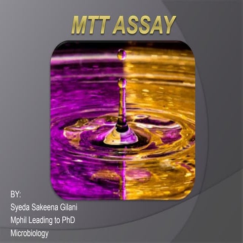 Mtt Assay for cell viability