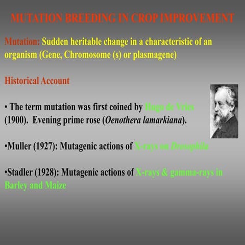 Pictures Of The Second Generation Artp Mutation Breeding System A