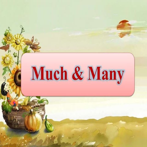 Much and many by supawadee