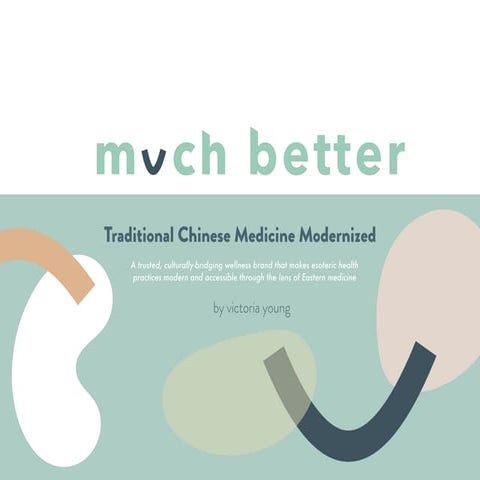 Much Better Startup Pitch Deck