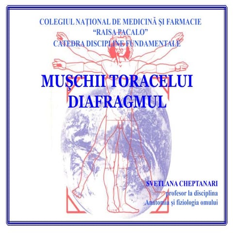 Muşchii toracelui.diafragmul.