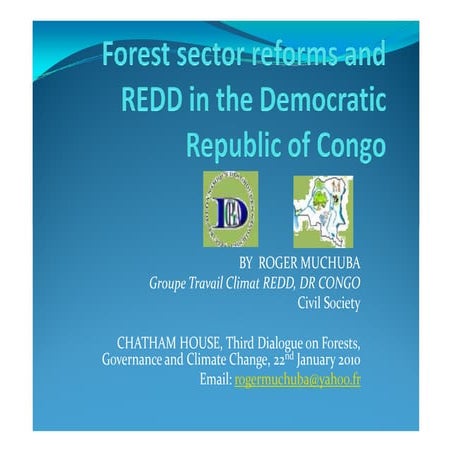 Management of Congo Basin forest resources: The quest for ...