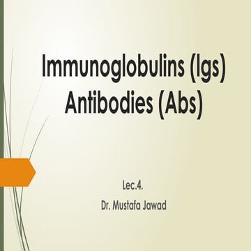 An antibody or immunoglobulin is a large, Y-shaped protein belonging to the i...