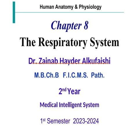 Physiology of human body respiratory system | PPT