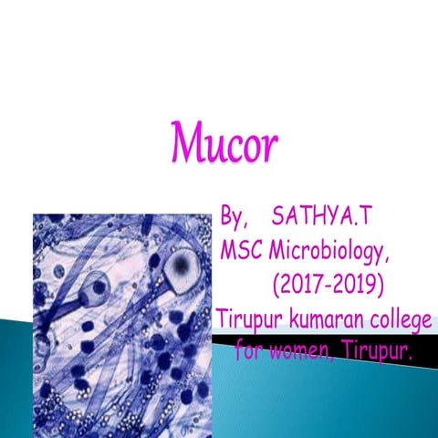Mucormycosis ppt