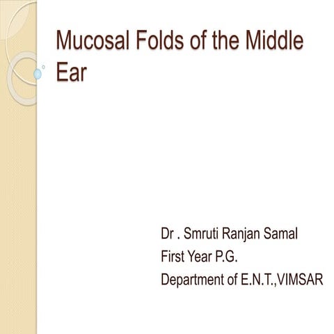 Mucosal folds of the middle ear