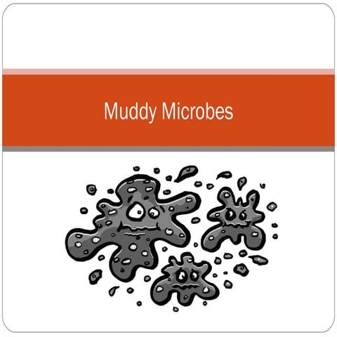 Muddy micros