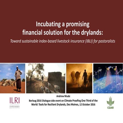 Incubating a promising financial solution for the drylands: Toward sustainabl...