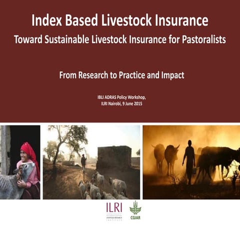Sustainable livestock insurance for pastoralists: From research to practice a...