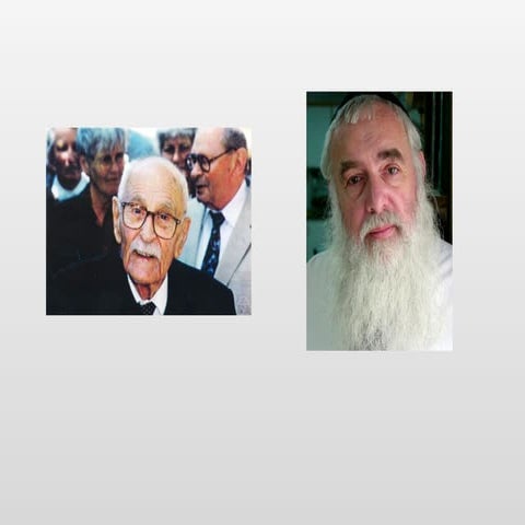 Linear-Size Approximations to the Vietoris-Rips Filtration - Presented at Uni...