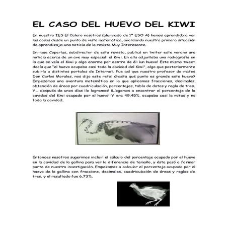El huevo del Kiwi (trabajo g1)