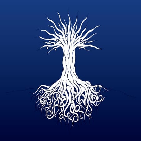 Mufaddal Shabbir Husein