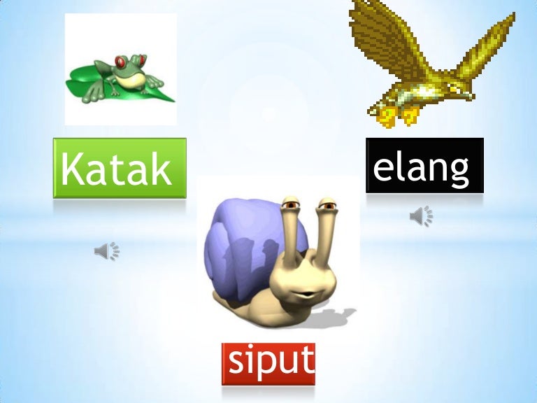 Cerita Katak Elang Dan Siput
