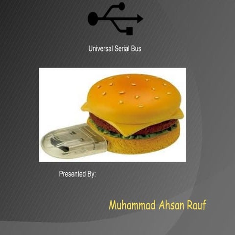 Muhammad Ahsan Rauf Presentation about USB