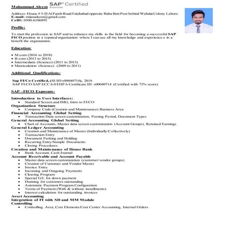 Sap FICO Resume 