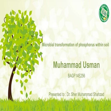 Muhammad usman