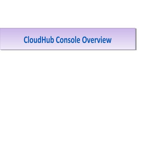 Mule   cloud hub console overview
