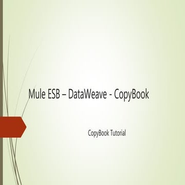 Mule copy book-tutorial | PPTX