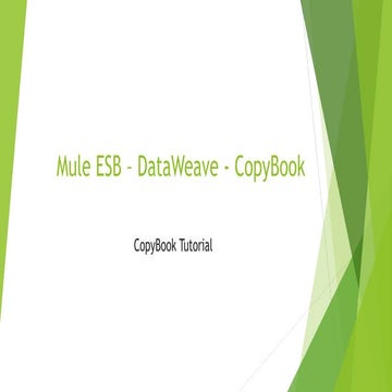 Mule copy book-tutorial