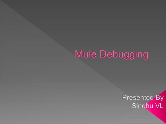 Mule   debugging