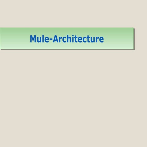 Mule esb-architecture