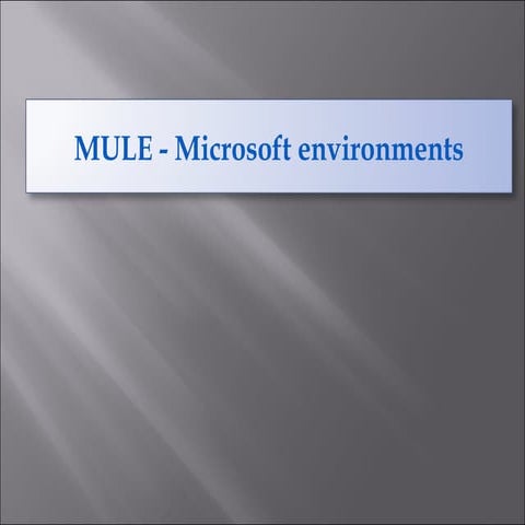 Mule esb-microsoft
