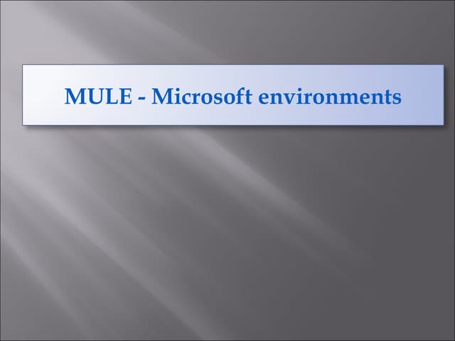 Mule  microsoft