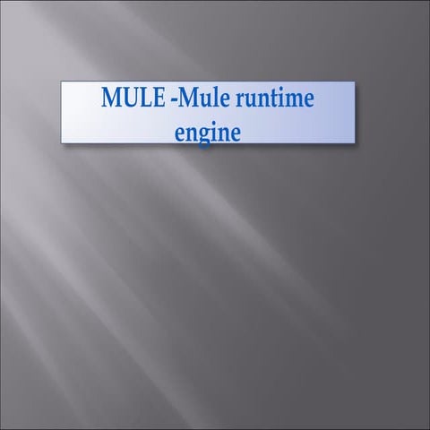 Mule  mule runtime engine