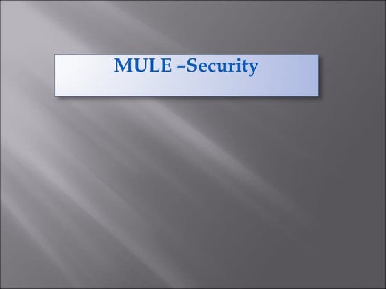 Mule  security