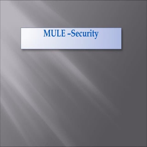 Mule  security
