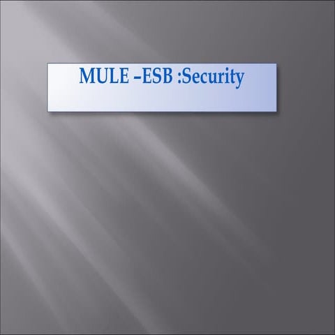 Mule  security