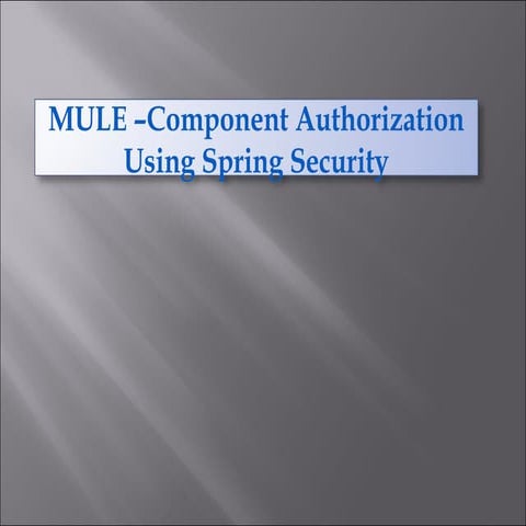 Mule  security - authorization using spring security